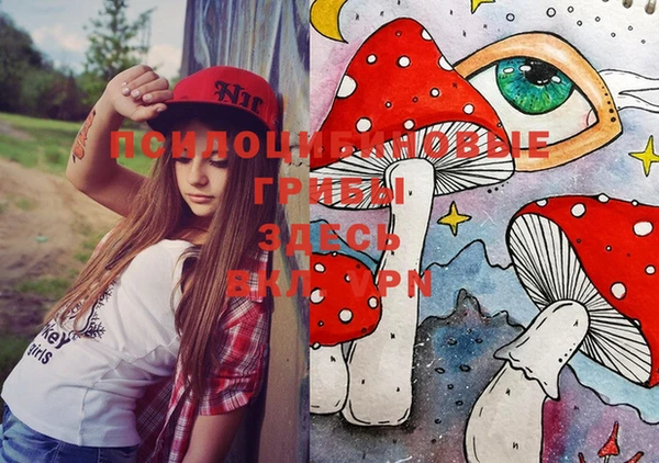 скорость Новодвинск