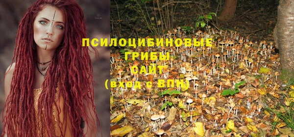 круглые Новозыбков