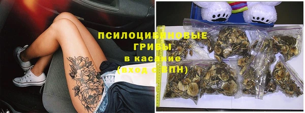 круглые Новозыбков