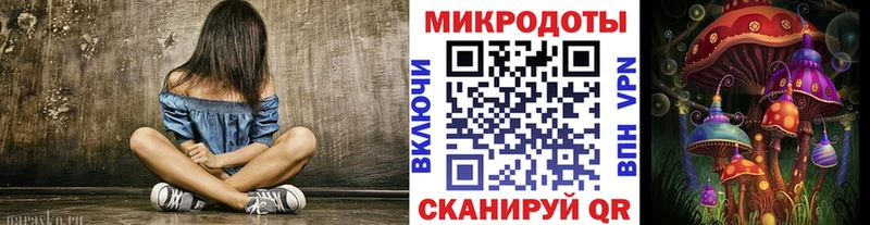 Псилоцибиновые грибы Psilocybine cubensis  где можно купить   Шали 